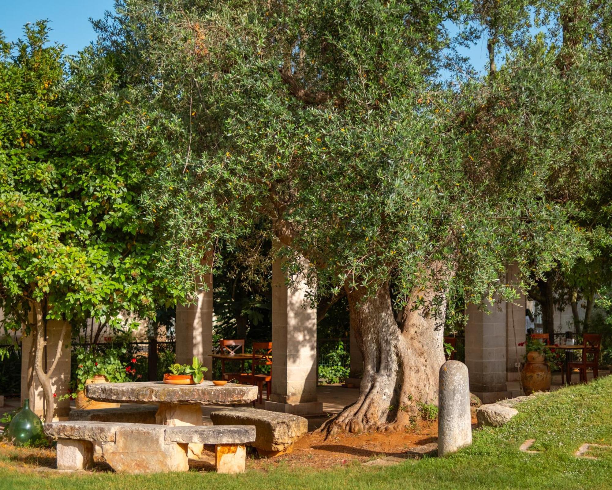 Masseria Le Lamie Bauernhof